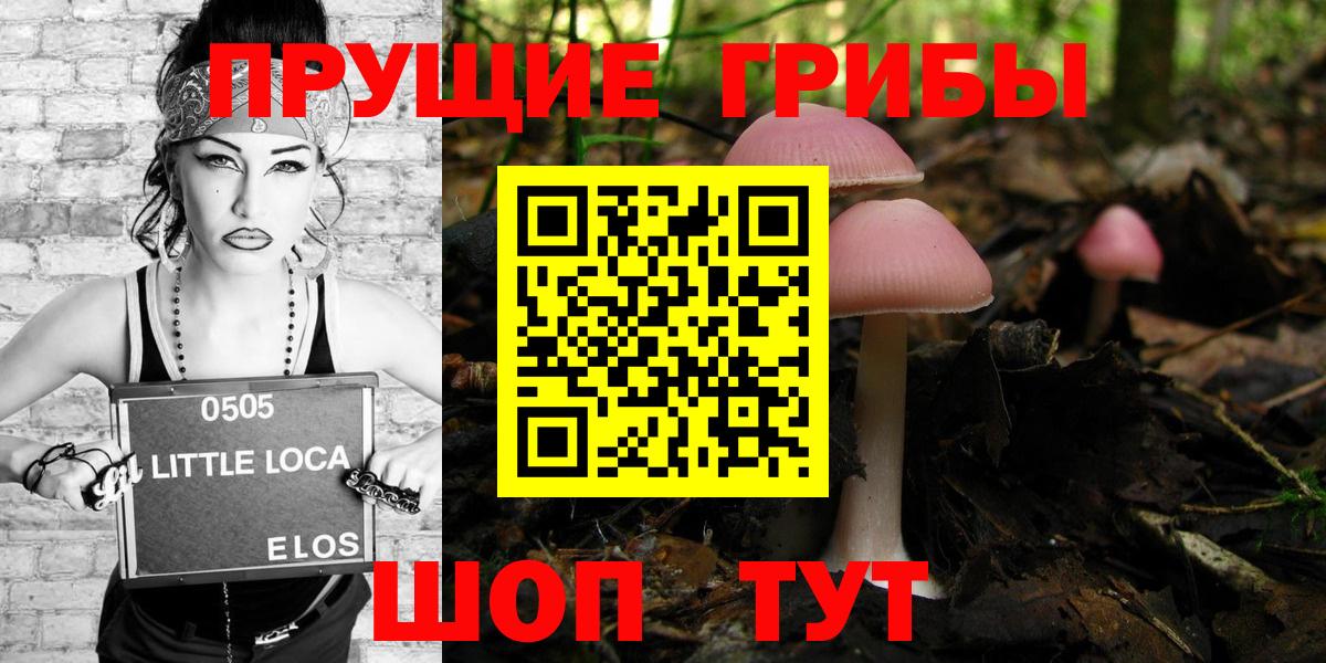 купить наркоту  Вход с VPN  Брянск  Псилоцибиновые грибы ЛСД 
