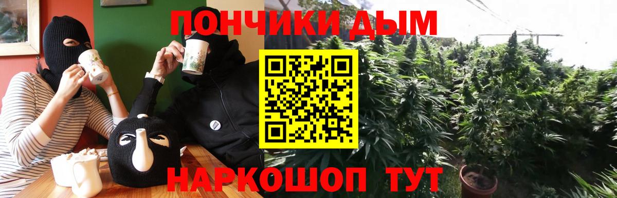 Канабис Bruce Banner  МАРИХУАНА гибрид  Бошки марихуана Bruce Banner  Канабис гибрид  Брянск 